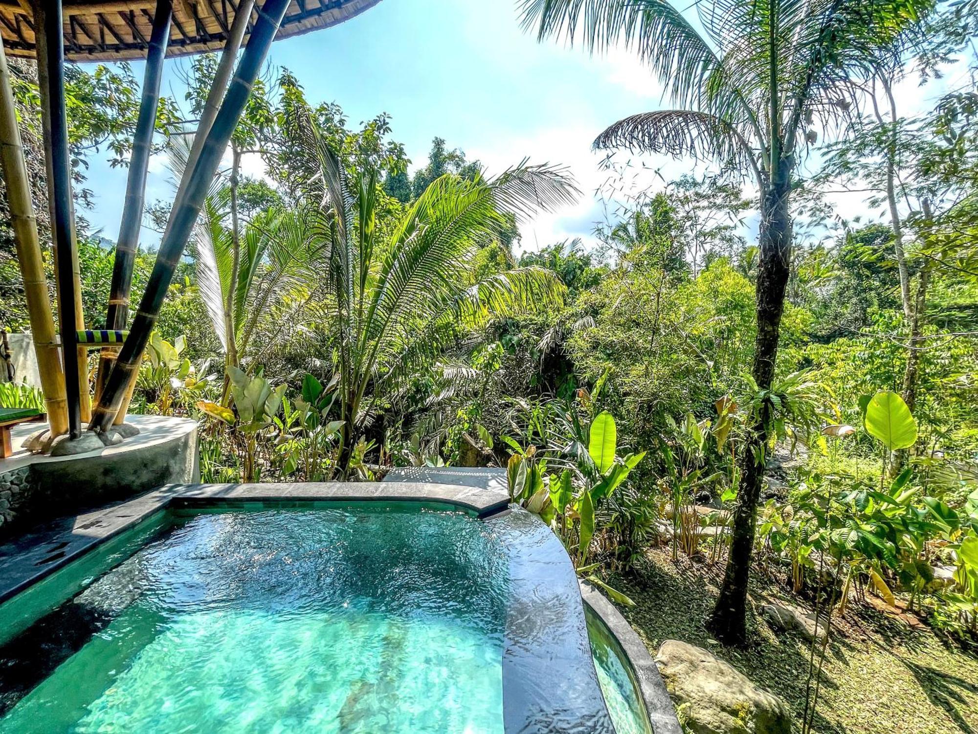 Eco Bamboo Island Bali - Bamboo House #3